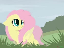 Size: 1280x960 | Tagged: safe, artist:kebchach, fluttershy, pegasus, pony, g4, cute, explicit source, female, floppy ears, grass, mare, shyabetes, solo