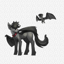 Size: 513x513 | Tagged: safe, artist:nsilverdraws, oc, oc only, oc:hawke, bat, bat pony, hybrid, pony, bat hybrid, bat pony oc, blank flank, collar, grooming, preening