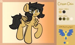 Size: 2560x1536 | Tagged: dead source, safe, artist:php142, oc, oc only, oc:crisom chin, pegasus, pony, looking at you, reference sheet, solo, wings