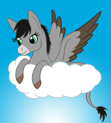 Size: 664x740 | Tagged: safe, artist:chili19, oc, oc only, donkey, hybrid, pony, cloud, colored hooves, donkey oc, female, on a cloud, smiling, solo, wings