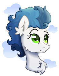 Size: 757x983 | Tagged: safe, artist:lambydwight, oc, oc only, pony, chest fluff, ear fluff, simple background, solo, transparent background