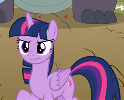 Size: 1001x804 | Tagged: safe, screencap, twilight sparkle, alicorn, pony, between dark and dawn, g4, cropped, determined, female, mare, raised hoof, solo, twilight sparkle (alicorn), wavy mouth