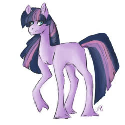 Size: 570x570 | Tagged: safe, artist:last-star-oc, twilight sparkle, earth pony, pony, g4, earth pony twilight, female, g5 concept leak style, g5 concept leaks, mare, redesign, simple background, solo, twilight sparkle (g5 concept leak), white background