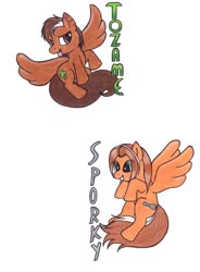 Size: 766x1040 | Tagged: safe, artist:blazelupine, oc, oc only, oc:sporky, oc:tozame, pegasus, pony, cutie mark, female, male, simple background, tongue out, traditional art, white background, wings