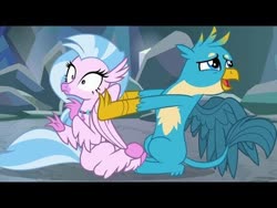 Size: 480x360 | Tagged: safe, screencap, gallus, silverstream, griffon, hippogriff, g4, what lies beneath, black bars, duo, embarrassed, letterboxing, pushing, rejected, shrunken pupils