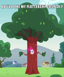 Size: 600x720 | Tagged: safe, edit, edited screencap, screencap, pinkie pie, equestria girls, g4, my little pony equestria girls: friendship games, pinkie spy (short), caption, clothes, costume, cropped, disguise, female, fluttertree, image macro, meme, outfit catalog, solo, text, tree, tree costume