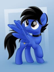 Size: 800x1050 | Tagged: safe, artist:jhayarr23, oc, oc only, oc:xeto, pegasus, pony, male, solo, stallion