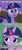 Size: 580x1344 | Tagged: safe, edit, edited screencap, screencap, twilight sparkle, alicorn, pony, g4, once upon a zeppelin, the ending of the end, caption, cropped, doctor eggman, female, folded wings, grin, image macro, jim carrey, lidded eyes, male, mare, meme, raised eyebrow, raised hoof, smiling, smug, solo, sonic movie 2020, sonic the hedgehog, sonic the hedgehog (series), surprised, text, tree, twilight sparkle (alicorn), wings