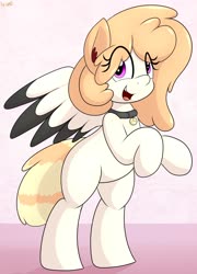 Size: 2520x3500 | Tagged: safe, artist:an-tonio, oc, pegasus, pony, :d, collar, eye clipping through hair, female, high res, mare, rearing, smiling, two toned wings, wings