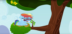Size: 1920x922 | Tagged: safe, artist:tiarawhy, rainbow dash, pegasus, pony, g4, female, great moments in animation, nest, quality, smear frame, solo, tree, tree branch, youtube link