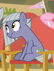 Size: 454x595 | Tagged: safe, screencap, limestone pie, earth pony, pony, g4, rock solid friendship, chair, cropped, female, flag, mare, sitting, solo, wavy mouth