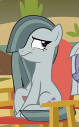 Size: 375x600 | Tagged: safe, screencap, marble pie, earth pony, pony, g4, rock solid friendship, annoyed, chair, cropped, female, mare, offscreen character, sitting, solo focus