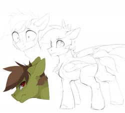 Size: 1961x1775 | Tagged: safe, artist:tangomangoes, oc, oc only, oc:olive hue, pegasus, pony, bust, sketch, solo