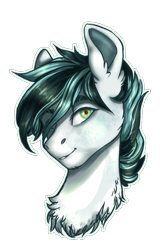 Size: 500x749 | Tagged: safe, artist:aineveri, artist:ashen-soul, oc, oc only, pony, bust, chest fluff, ear fluff, lidded eyes, looking at you, male, simple background, smiling, solo, stallion, transparent background, white outline
