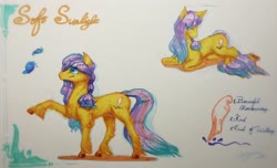 Size: 3368x2048 | Tagged: safe, artist:angusdra, oc, oc only, butterfly, earth pony, pony, eye clipping through hair, high res, solo, traditional art, unshorn fetlocks