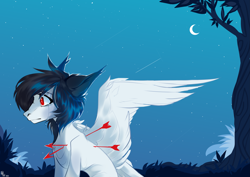 Size: 4951x3508 | Tagged: safe, artist:alkit_is_not_me, oc, oc only, pegasus, pony, arrow, moon, night, shooting star, solo, stars, tree