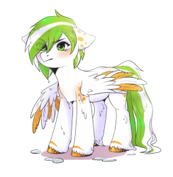 Size: 1291x1325 | Tagged: safe, artist:kedar, oc, oc only, pegasus, pony, blushing, chest fluff, colored hooves, colored wings, colored wingtips, ear fluff, floppy ears, simple background, spread wings, transparent background, unamused, unshorn fetlocks, wet mane, wings