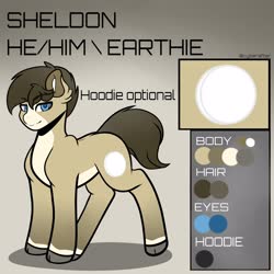 Size: 4000x4000 | Tagged: safe, artist:cyberafter, oc, oc only, oc:sheldon, earth pony, pony, male, reference sheet, solo, stallion