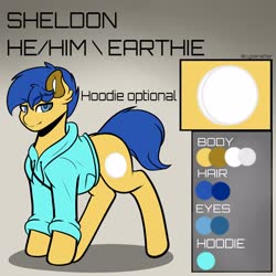 Size: 4000x4000 | Tagged: safe, artist:cyberafter, oc, oc only, oc:sheldon, earth pony, pony, clothes, hoodie, reference sheet, solo