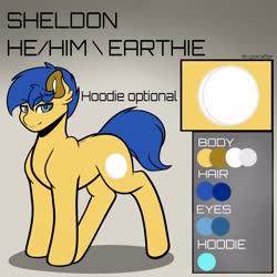 Size: 4000x4000 | Tagged: safe, artist:cyberafter, oc, oc only, oc:sheldon, earth pony, pony, reference sheet, solo