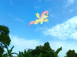 Size: 2576x1932 | Tagged: safe, edit, editor:fathzoli, fluttershy, pony, g4, cloud, irl, photo, photo edit, photoshop, ponies in real life, sky, solo, tree