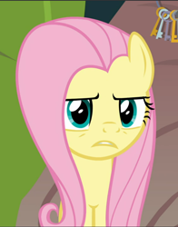 Size: 738x941 | Tagged: safe, screencap, fluttershy, pegasus, pony, g4, she talks to angel, cropped, female, fluttershy is not amused, mare, solo, unamused