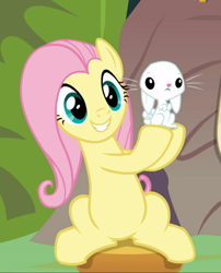 Size: 724x898 | Tagged: safe, screencap, angel bunny, fluttershy, pegasus, pony, rabbit, g4, she talks to angel, animal, cropped, cute, duo, female, mare, shyabetes, sitting, smiling