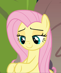 Size: 786x938 | Tagged: safe, screencap, fluttershy, pegasus, pony, g4, she talks to angel, cropped, cute, female, lidded eyes, mare, shyabetes, smiling, solo