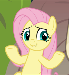 Size: 872x940 | Tagged: safe, screencap, fluttershy, pegasus, pony, g4, she talks to angel, cropped, cute, female, mare, shrug, shyabetes, smiling, solo, spread hooves