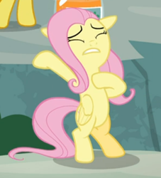 Size: 386x425 | Tagged: safe, screencap, angel bunny, fluttershy, pegasus, pony, g4, she talks to angel, bipedal, body swap, cropped, exhausted, eyes closed, female, floppy ears, folded wings, mare, solo, teeth, wings