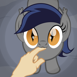 Size: 2500x2500 | Tagged: source needed, safe, artist:pizzamovies, oc, oc only, oc:echo, bat pony, human, biting, cute, female, finger, high res, i can't believe it's not badumsquish, looking at you, nom, show accurate, solo