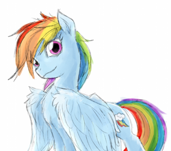 Size: 1400x1236 | Tagged: artist needed, safe, rainbow dash, pegasus, pony, cute, dashabetes, drawthread, female, looking at you, simple background, solo, white background