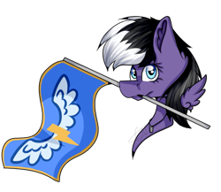 Size: 539x467 | Tagged: safe, artist:chazmazda, oc, oc only, pony, commission, commission open, digital art, flag, shade, simple background, solo, transparent background