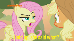 Size: 800x450 | Tagged: safe, edit, edited screencap, screencap, applejack, fluttershy, earth pony, pegasus, pony, g4, sounds of silence, duo, female, meme, messy mane, nickelodeon, simple background