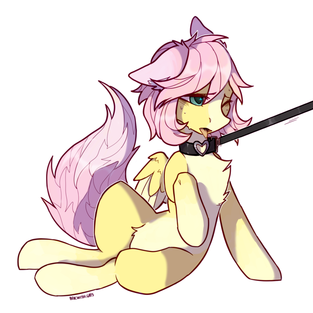 Cattail r34. Petit poney Cat. Pony Cat