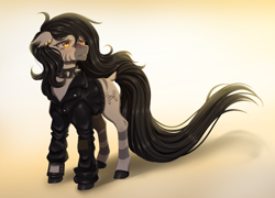 Size: 2500x1800 | Tagged: safe, artist:verawitch, oc, oc only, oc:phisa, pony, zebra, fallout equestria, blushing, choker, clothes, ear piercing, fallout equestria: dead end, jacket, leather jacket, long mane, long tail, piercing, pipbuck, solo, spiked choker, torn ear