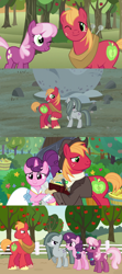 Size: 1280x2880 | Tagged: safe, edit, edited screencap, screencap, big macintosh, cheerilee, marble pie, sugar belle, earth pony, pony, unicorn, g4, hearthbreakers, hearts and hooves day (episode), the big mac question, apple, apple tree, awkward, best friends, comic, concerned, confused, embarrassed, female, friendship, friendshipping, happy ending, hearts and hooves day, holder's boulder, husband and wife, intertwined trees, lip bite, looking at each other, male, mare, pear tree, screencap comic, ship:sugarmac, shipping, shocked, shocked expression, smiling, stallion, straight, stunned, surprised, surprised face, sweet apple acres, then and now, tree, worried, youtube link, youtube link in the description