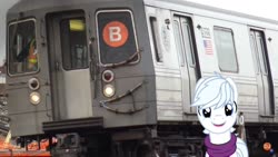 Size: 1334x750 | Tagged: safe, artist:dashiesparkle edit, edit, editor:topsangtheman, double diamond, earth pony, pony, g4, irl, looking at you, new york city subway, photo, ponies in real life, train