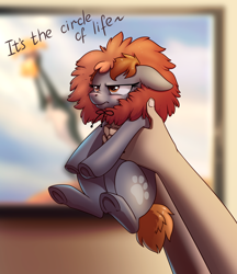 Size: 1500x1734 | Tagged: safe, artist:28gooddays, oc, oc only, earth pony, human, pony, circle of life, clothes, commission, cosplay, costume, disney, floppy ears, holding a pony, offscreen character, simba, solo focus, the lion king, unamused, ych result