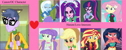 Size: 4300x1700 | Tagged: safe, artist:projectoneamg, edit, editor:ktd1993, applejack, aria blaze, desert sage, fluttershy, micro chips, sci-twi, starlight, sunset shimmer, trixie, twilight sparkle, equestria girls, equestria girls specials, g4, my little pony equestria girls, my little pony equestria girls: better together, my little pony equestria girls: forgotten friendship, my little pony equestria girls: rollercoaster of friendship, my little pony equestria girls: spring breakdown, ariachips, background human, female, geode of empathy, geode of fauna, geode of telekinesis, harem, magical geodes, male, microjack, microlight, microsage, microshimmer, microshy, microtrix, shipping, shipping domino, shipping meme, starchips, straight