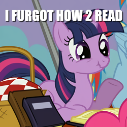 Size: 586x586 | Tagged: safe, edit, edited screencap, screencap, pinkie pie, rainbow dash, twilight sparkle, pony, unicorn, g4, wonderbolts academy, basket, book, caption, cropped, image macro, meme, picnic basket, ponyloaf, prone, scrunchy face, solo focus, text, unicorn twilight