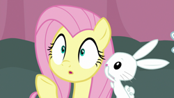 Size: 1920x1080 | Tagged: safe, screencap, angel bunny, fluttershy, pegasus, pony, rabbit, a trivial pursuit, g4, animal, reaction image