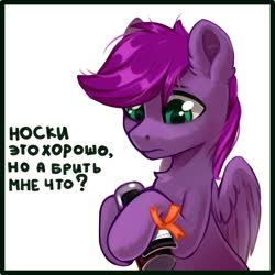 Size: 2000x2000 | Tagged: safe, artist:taneysha, oc, oc only, pegasus, pony, 23 february, chest fluff, clothes, cyrillic, defender of the fatherland day, ear fluff, frown, green eyes, high res, holding, humor, russian, shaving foam, socks, socks and shaving foam day, translated in the description