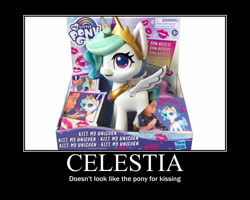 Size: 750x600 | Tagged: safe, princess celestia, pony, g4, g4.5, my little pony: pony life, doll, female, irl, kiss my unicorn, motivational poster, photo, toy