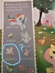 Size: 960x1280 | Tagged: safe, fluttershy, rainbow dash, bee, bird, bluebird, bumblebee, butterfly, dragonfly, duck, hummingbird, insect, parasprite, pegasus, pony, g4, book, flutterfly, look and find, my little pony look and find, page, prepress error, you had one job