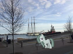 Size: 3264x2448 | Tagged: safe, artist:mrkupkake, edit, editor:topsangtheman, marble pie, earth pony, pony, g4, canada, harbor, high res, irl, looking at you, photo, ponies in real life, ship, solo