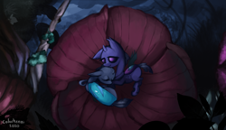 Size: 5251x3016 | Tagged: safe, artist:colochenni, changeling, comforting, drawthread, flower, nature, night, plant, ponified animal photo, purple changeling, sleeping
