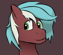 Size: 2448x2139 | Tagged: safe, artist:tav, oc, oc only, oc:loco, pony, bust, happy, high res, male, portrait, simple background, solo, stallion