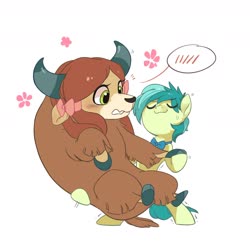 Size: 1800x1800 | Tagged: safe, artist:drtuo4, sandbar, yona, earth pony, pony, yak, g4, she's all yak, bipedal, blushing, bow, bowtie, carrying, cloven hooves, cute, duo, duo male and female, earth pony strength, eyes closed, female, flower, hair bow, heavy, larger female, male, monkey swings, sandabetes, ship:yonabar, shipping, simple background, size difference, smaller male, smiling, straight, strong, sweat, sweatdrop, trembling, white background, yonadorable