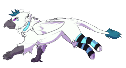 Size: 1360x735 | Tagged: safe, artist:priaise, oc, oc only, oc:izzy, griffon, animated, choker, clothes, concave belly, female, fluffy, frame by frame, goth, piercing, running, simple background, socks, solo, striped socks, thigh highs, transparent background
